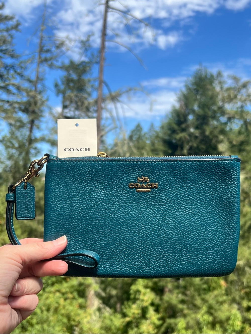 COACH Small Turquoise Pebble Leather Wristlet Wallet Clutch Gold Hardware NWT